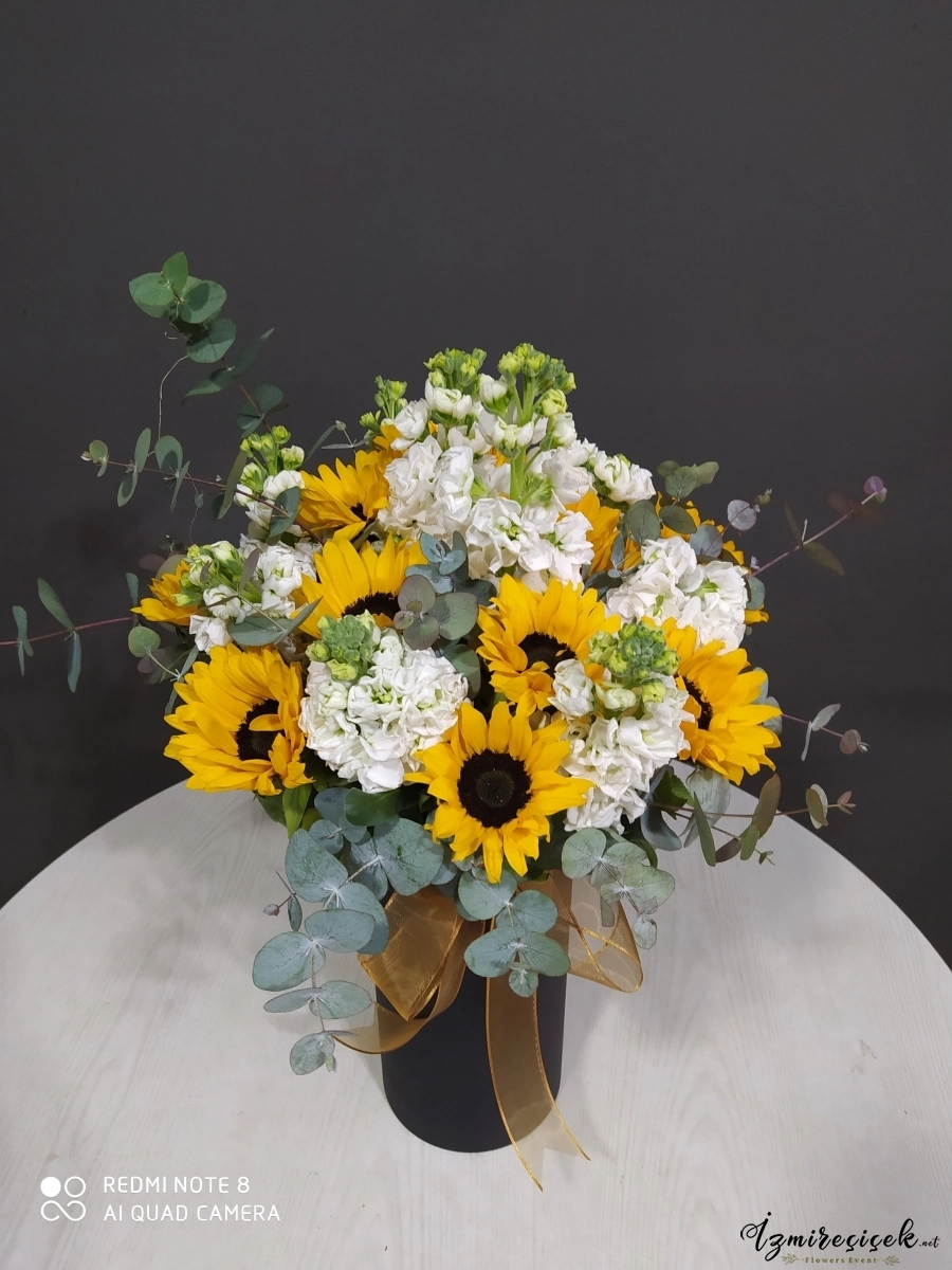 Sun flowers