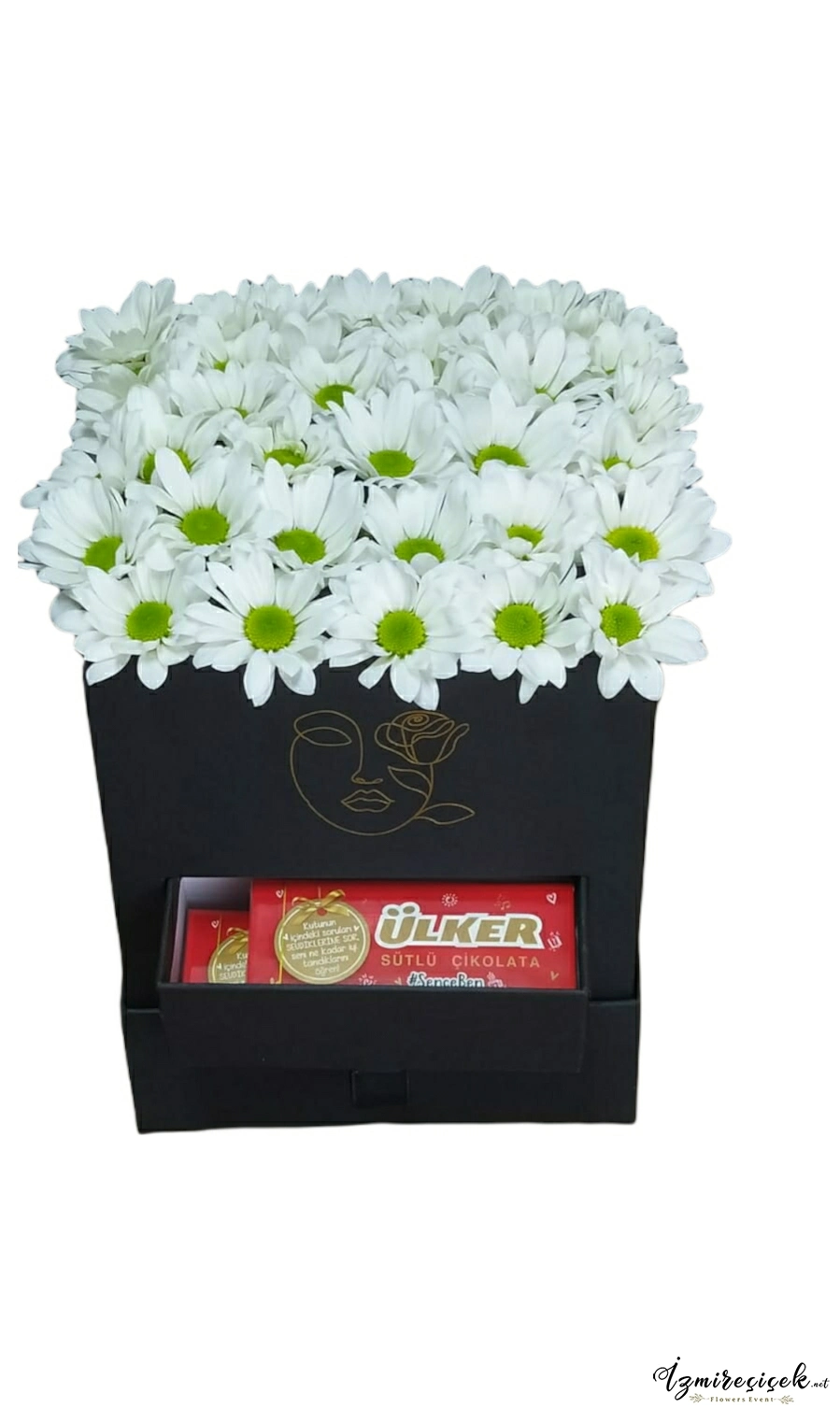 Kutuda papatya