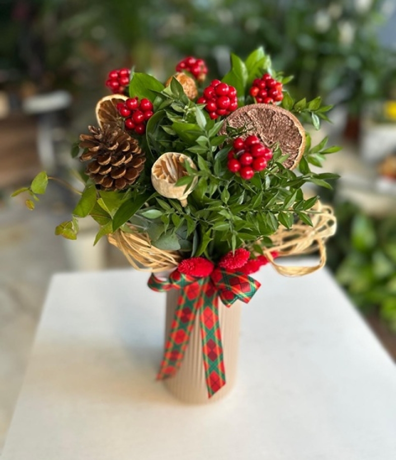 Yılbaşı çiçeği kokini