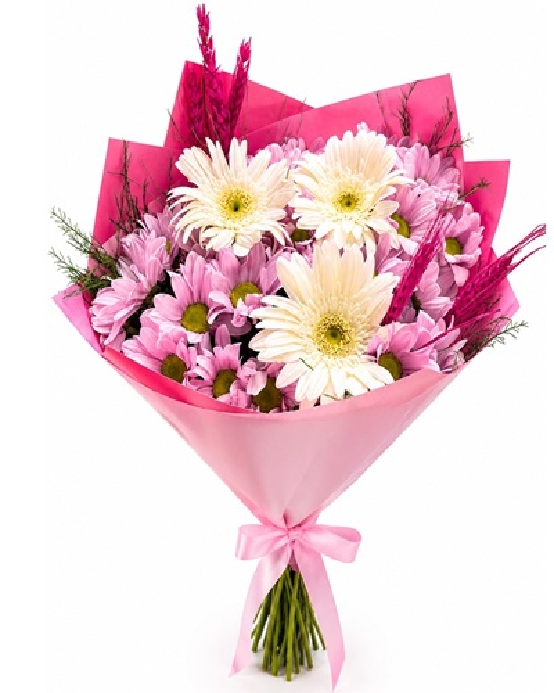 pembe papatya ve beyaz gerbera